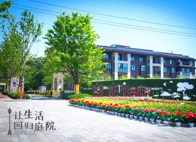 前后张望南阳50年：这样的庭院，，，，，，很难再有了！