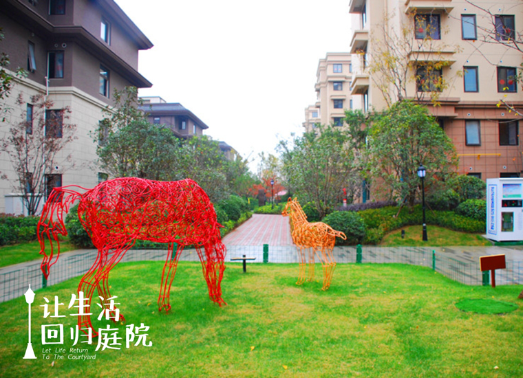 前后张望南阳50年：这样的庭院，，，，，，很难再有了！