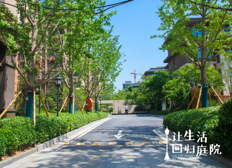 前后张望南阳50年：这样的庭院，，，，，，很难再有了！