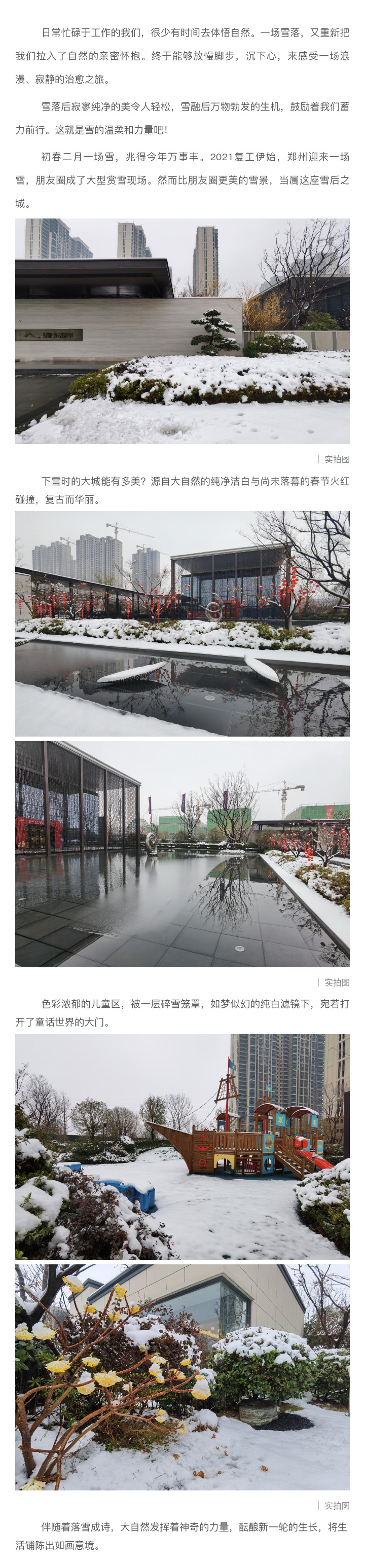 2021浪漫开年，，，，，，共赏一场鹅毛大雪！