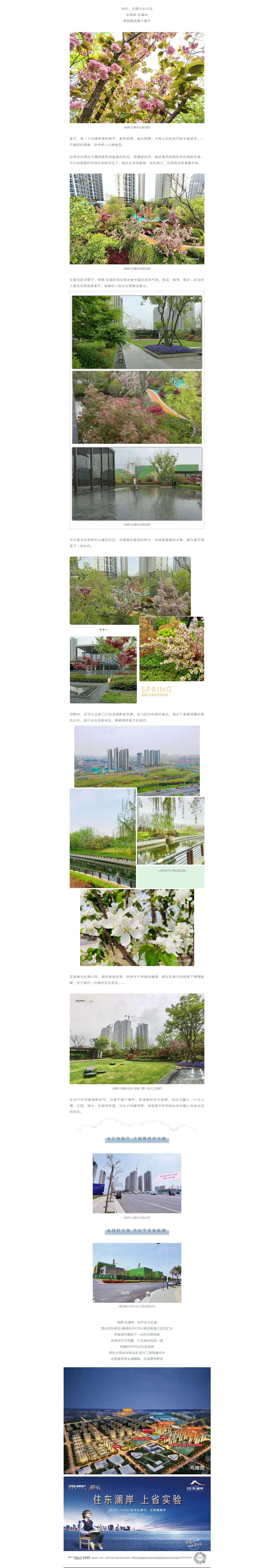 赏花踏青，，，，，，，来一场和春天的约会