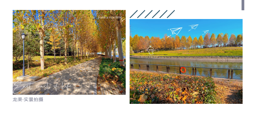 钜惠即止，，，，，捡漏经开超人气明星热盘！