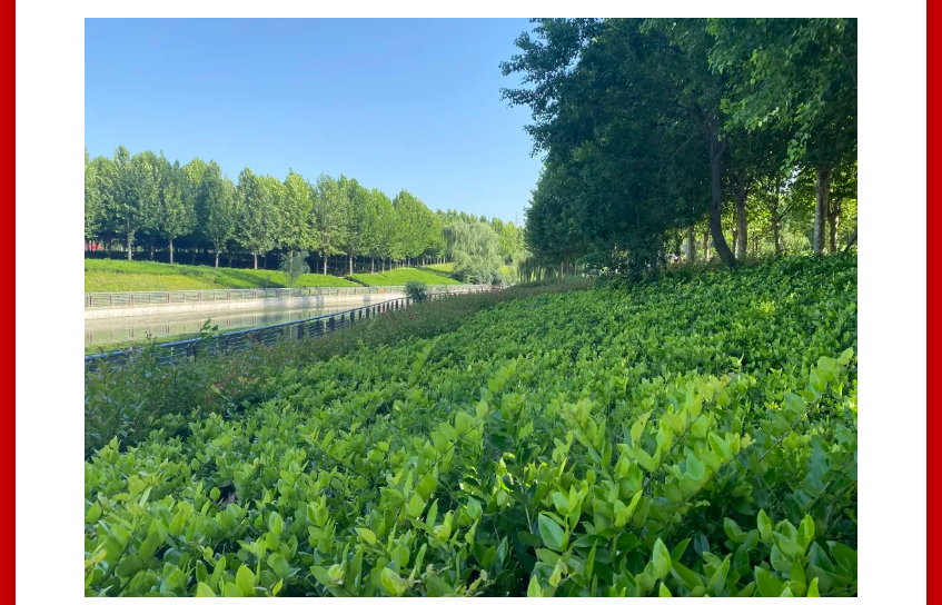 年终薅好房，，，，，，，，这个明星红盘把“出圈”举行究竟！