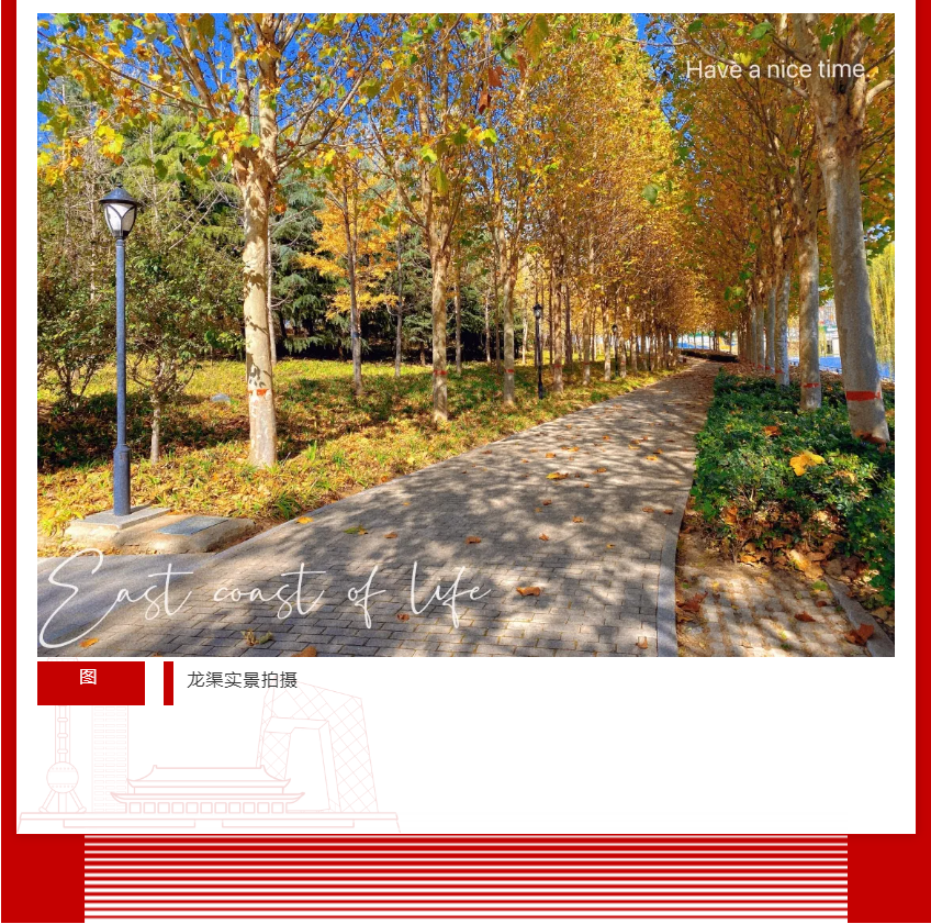 年终薅好房，，，，，，，，这个明星红盘把“出圈”举行究竟！